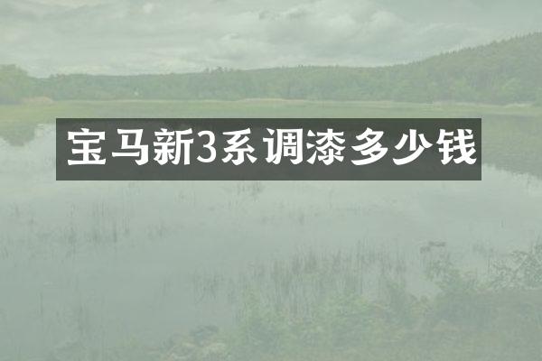 宝马新3系调漆多少钱