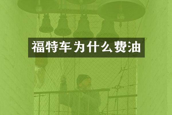 福特车为什么费油
