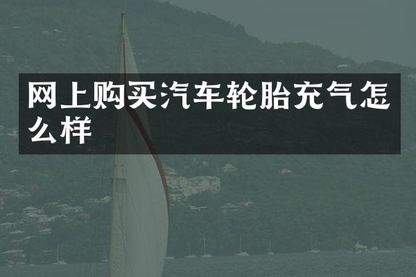 网上购买汽车轮胎充气怎么样