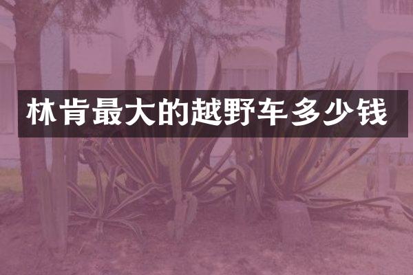 林肯最大的越野车多少钱