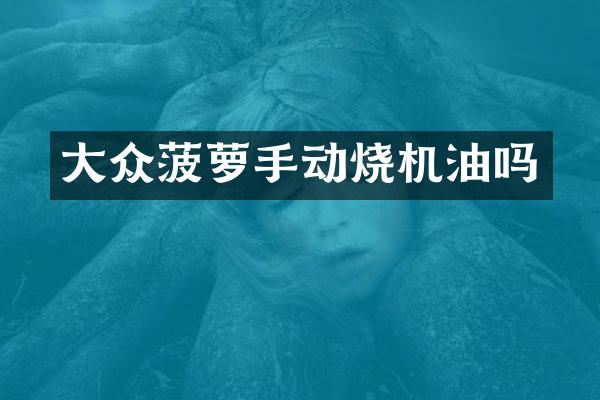 大众菠萝手动烧机油吗