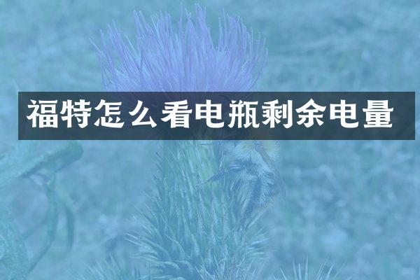 福特怎么看电瓶剩余电量
