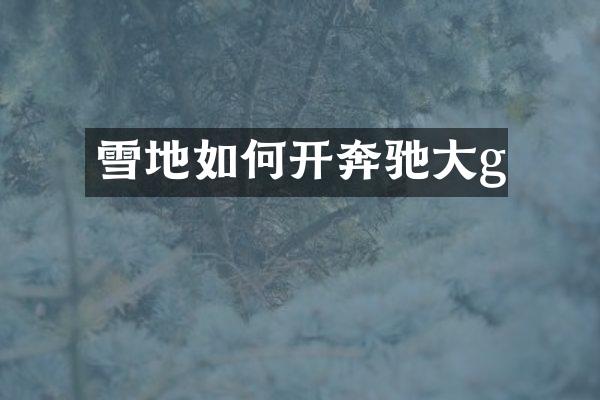 雪地如何开奔驰大g