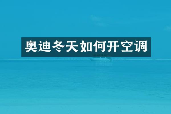 奥迪冬天如何开空调