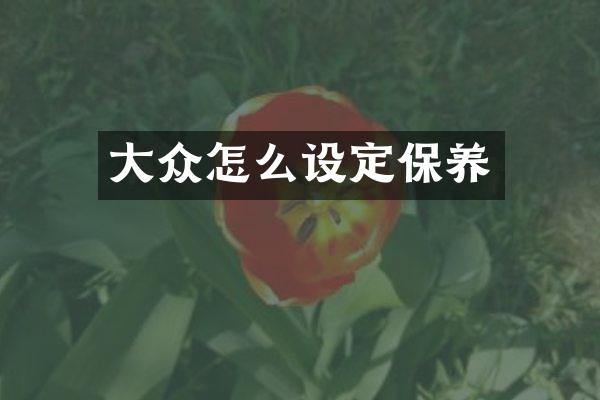 大众怎么设定保养