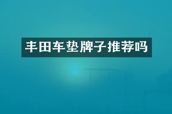 丰田车垫牌子推荐吗