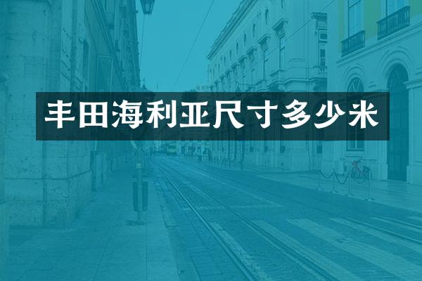 丰田海利亚尺寸多少米