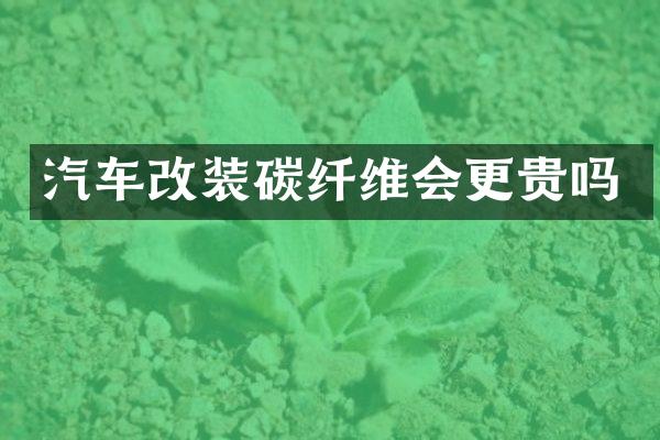 汽车改装碳纤维会更贵吗