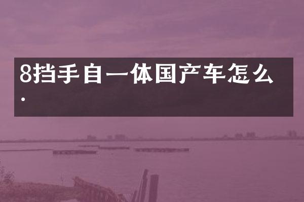 8挡手自一体国产车怎么样