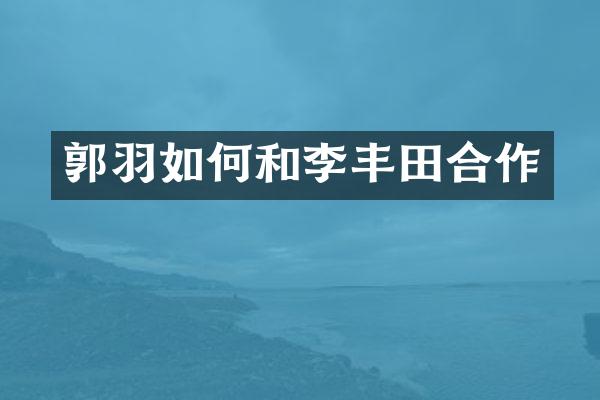 郭羽如何和李丰田合作