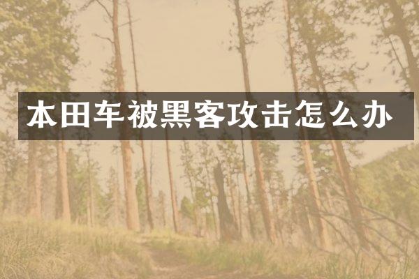 本田车被黑客攻击怎么办