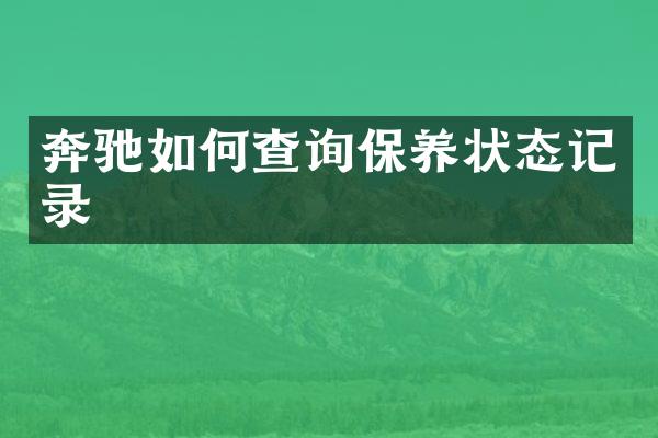 奔驰如何查询保养状态记录