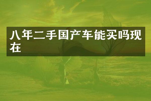 八年二手国产车能买吗现在