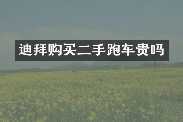 迪拜购买二手跑车贵吗