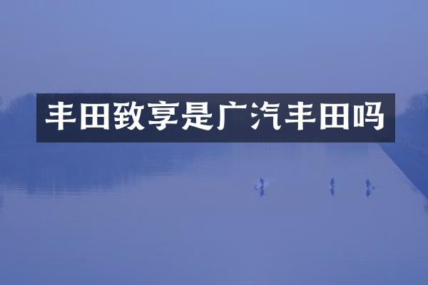 丰田致享是广汽丰田吗