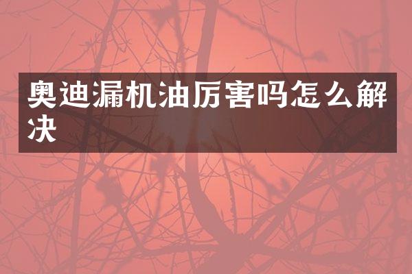奥迪漏机油厉害吗怎么解决