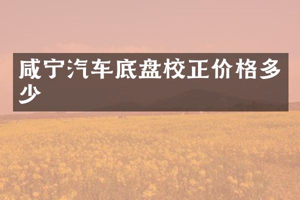 咸宁汽车底盘校正价格多少