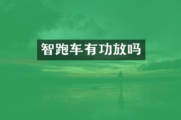 智跑车有功放吗
