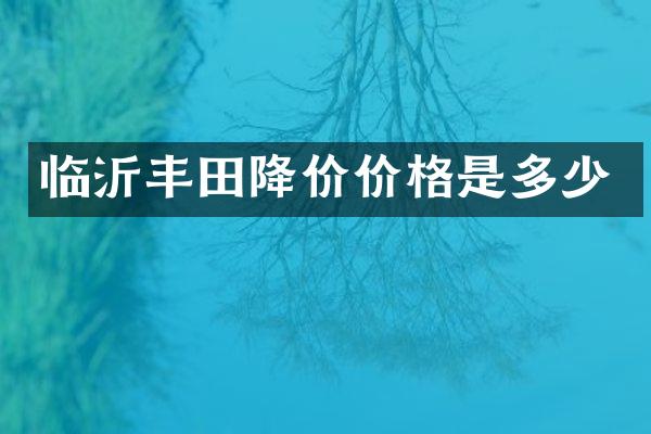 临沂丰田降价价格是多少