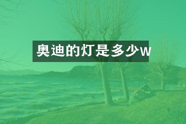 奥迪的灯是多少w