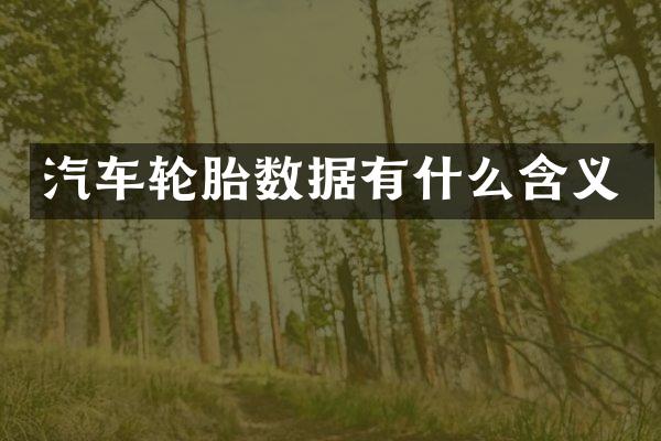 汽车轮胎数据有什么含义