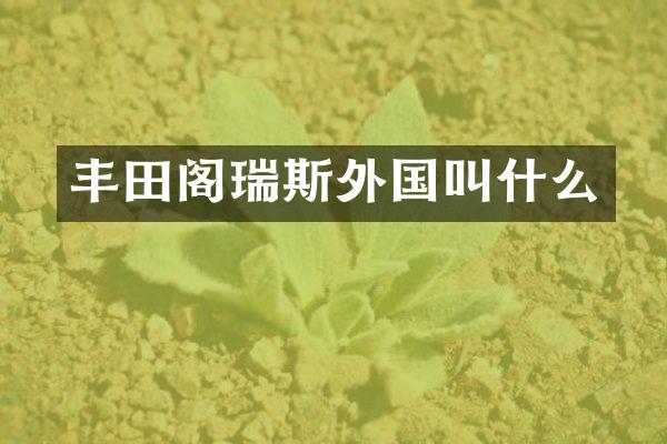 丰田阁瑞斯外国叫什么