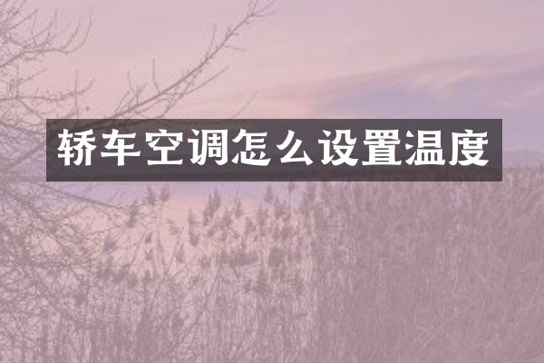 轿车空调怎么设置温度