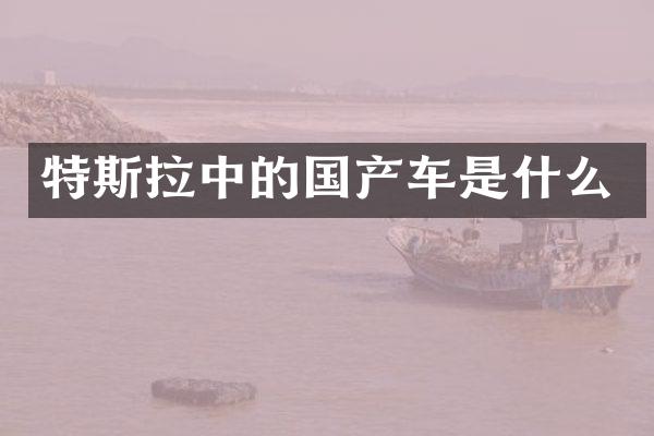 特斯拉中的国产车是什么