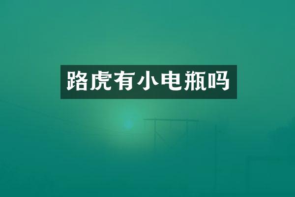 路虎有小电瓶吗