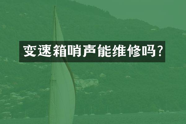 变速箱哨声能维修吗?