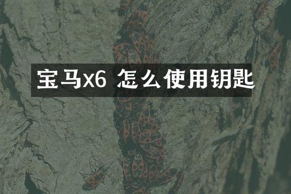 宝马x6 怎么使用钥匙