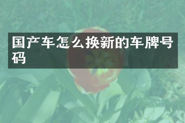 国产车怎么换新的车牌号码