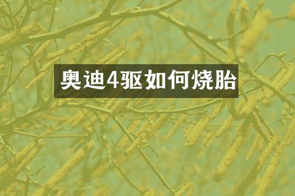 奥迪4驱如何烧胎
