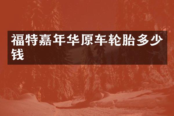 福特嘉年华原车轮胎多少钱