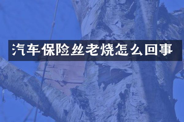 汽车保险丝老烧怎么回事