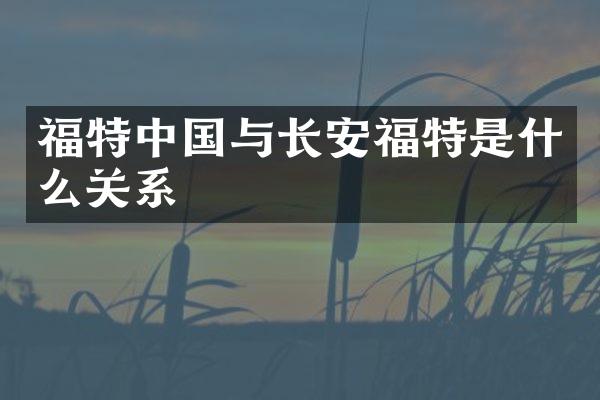 福特中国与长安福特是什么关系