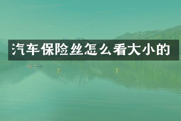 汽车保险丝怎么看大小的