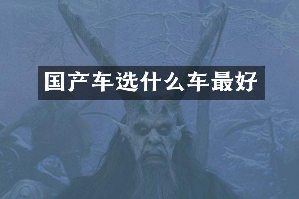 国产车选什么车最好