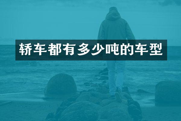 轿车都有多少吨的车型