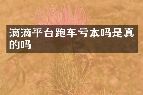 滴滴平台跑车亏本吗是真的吗