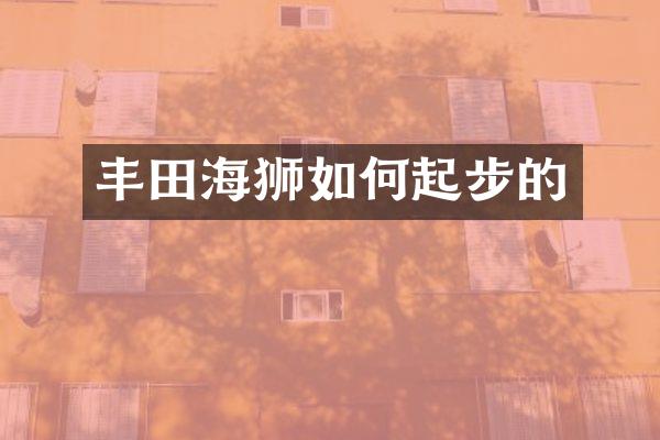 丰田海狮如何起步的