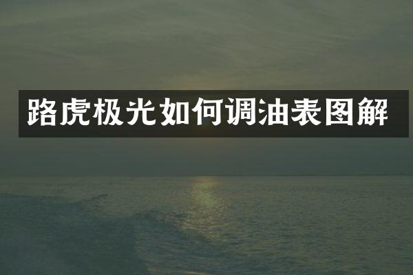 路虎极光如何调油表图解