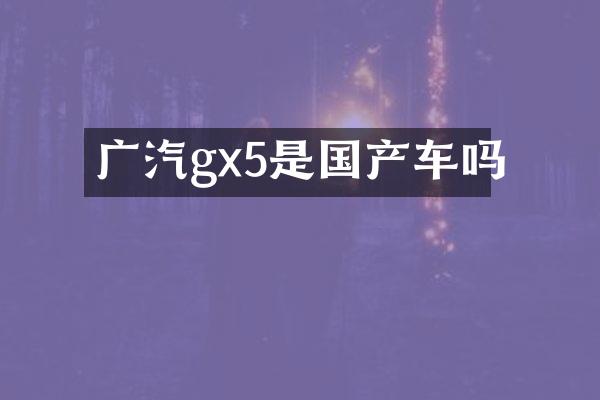 广汽gx5是国产车吗