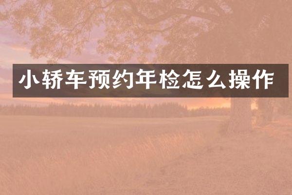 小轿车预约年检怎么操作