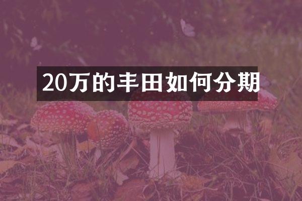 20万的丰田如何分期