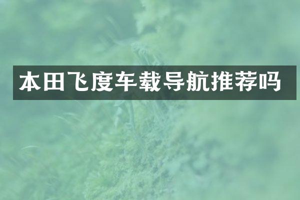 本田飞度车载导航推荐吗
