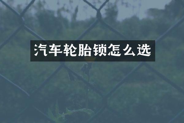 汽车轮胎锁怎么选
