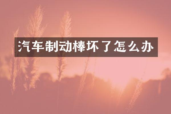 汽车制动棒坏了怎么办