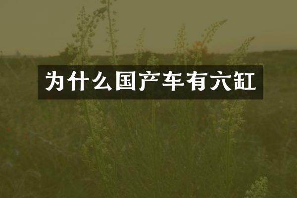 为什么国产车有六缸