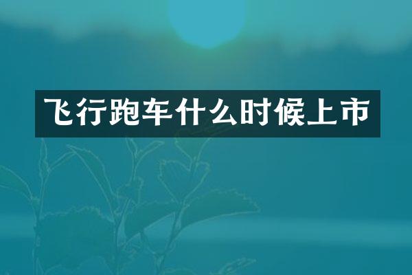 飞行跑车什么时候上市